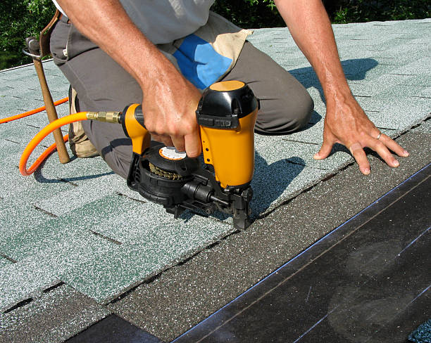 Best Roof Gutter Cleaning  in Vidalia, GA
