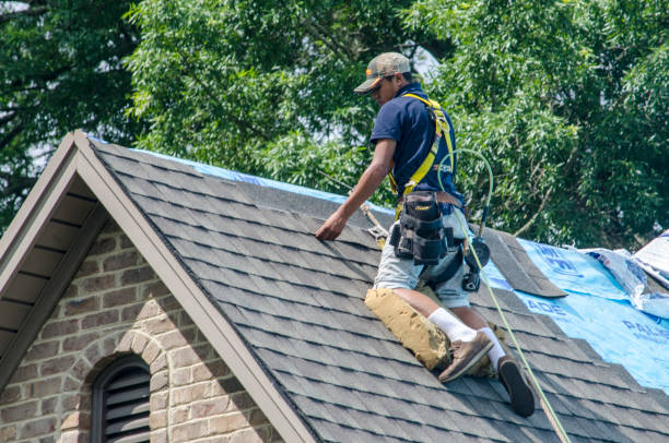 Professional Roofing Contractor in Vidalia, GA